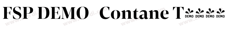 FSP DEMO   Contane T字体转换